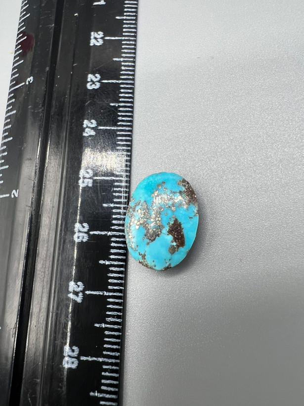 فیروزه نیشابوری