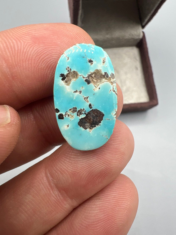 فیروزه نیشابوری