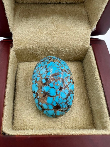 فیروزه نیشابوری